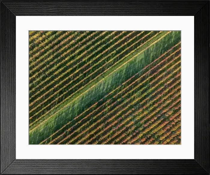 Framed Print : 2yf0gmm