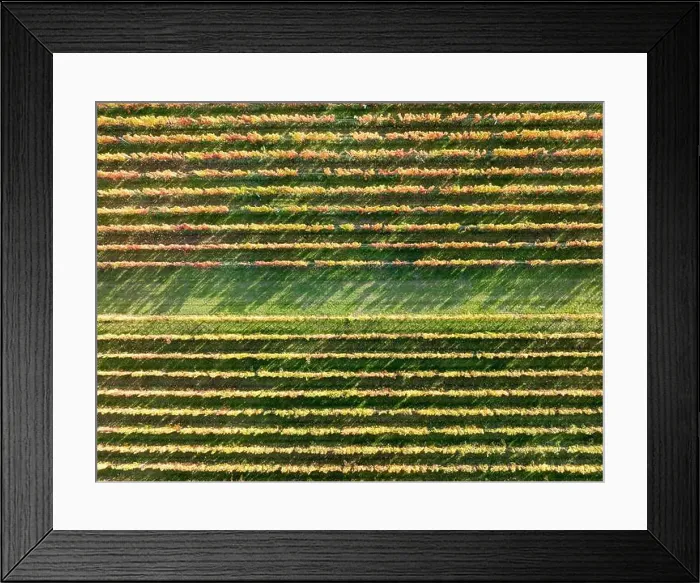 Framed Print : 2yf0gmr Framed Print : 2yf0gmr