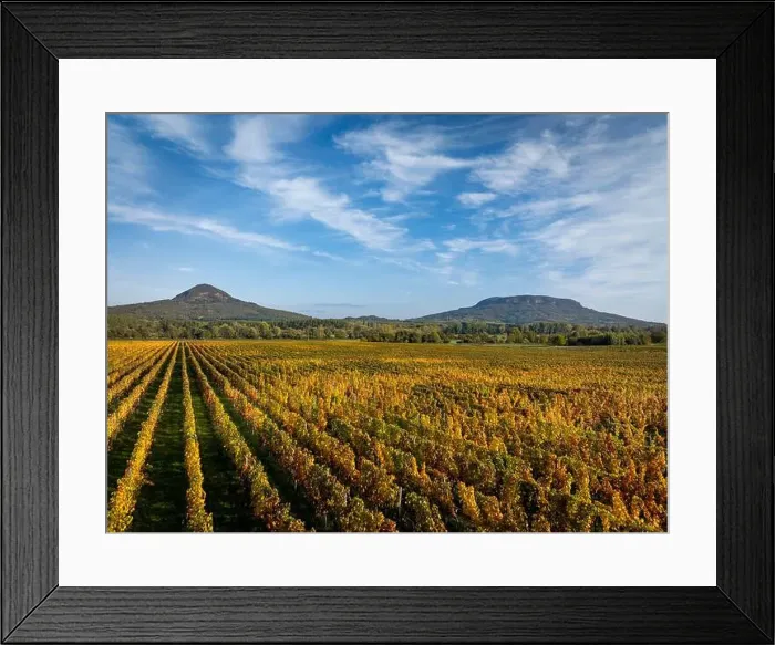Framed Print : 2yf0gmy Framed Print : 2yf0gmy