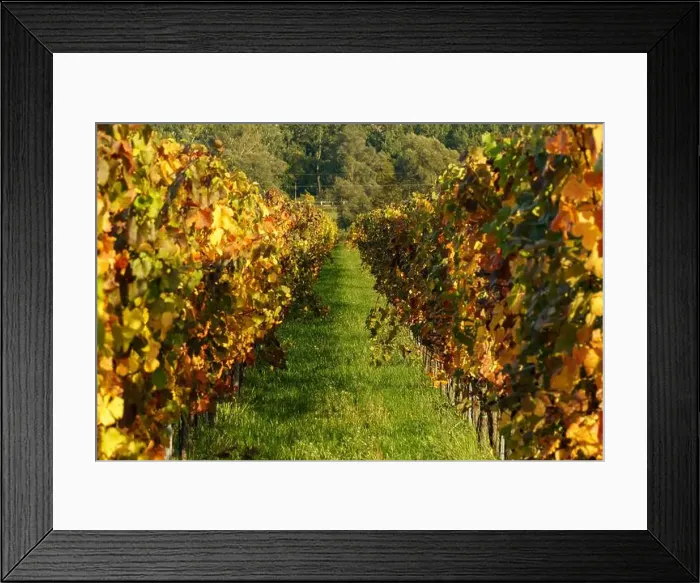 Framed Print : 2yf0gn2 Framed Print : 2yf0gn2