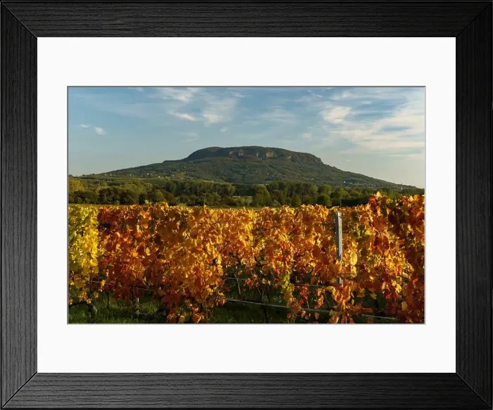 Framed Print : 2yf0gn8 Framed Print : 2yf0gn8