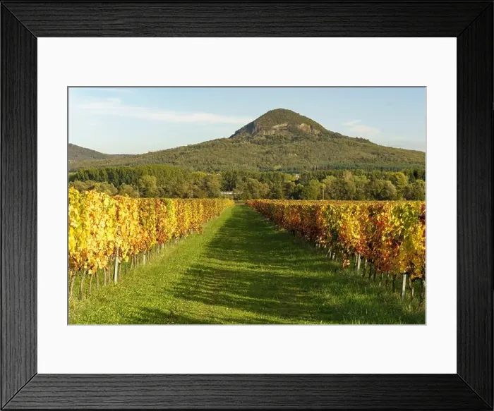 Framed Print : 2yf0gna