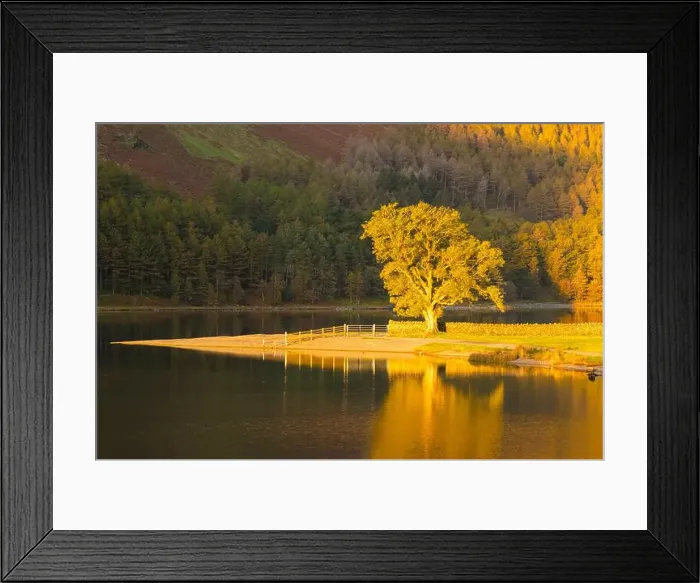 Framed Print : 2yf0k7f Framed Print : 2yf0k7f