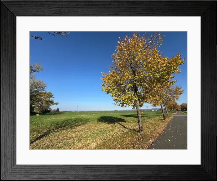 Framed Print : 2yf15jd Framed Print : 2yf15jd