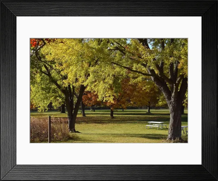 Framed Print : 2yf3cwt Framed Print : 2yf3cwt