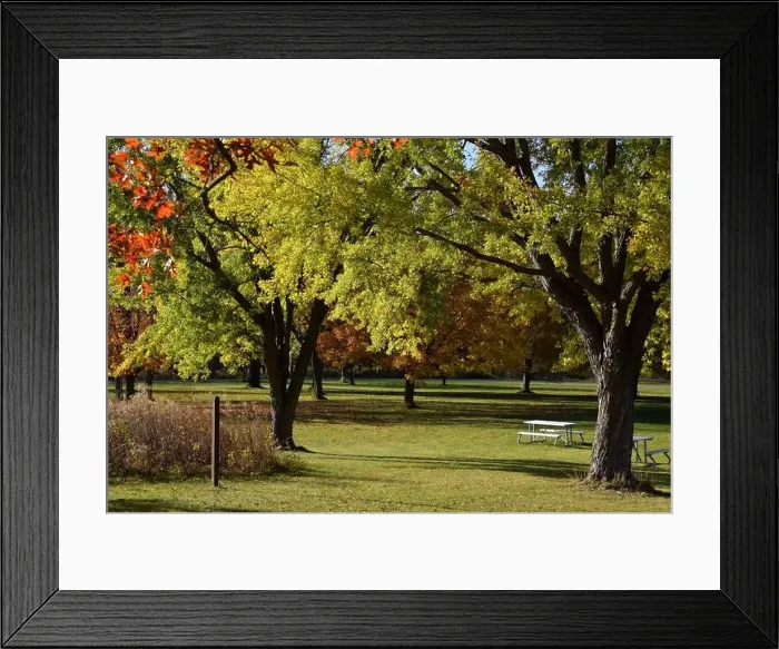 Framed Print : 2yf3d36 Framed Print : 2yf3d36