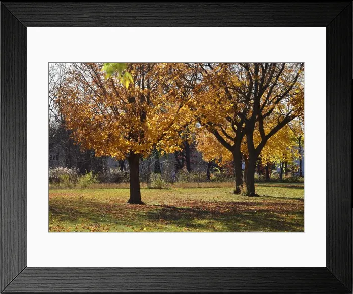 Framed Print : 2yf3dht Framed Print : 2yf3dht