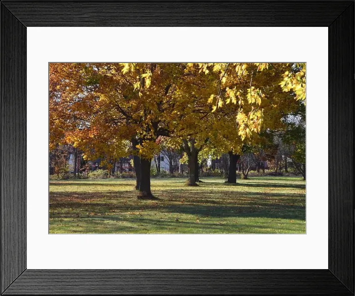 Framed Print : 2yf3drx Framed Print : 2yf3drx
