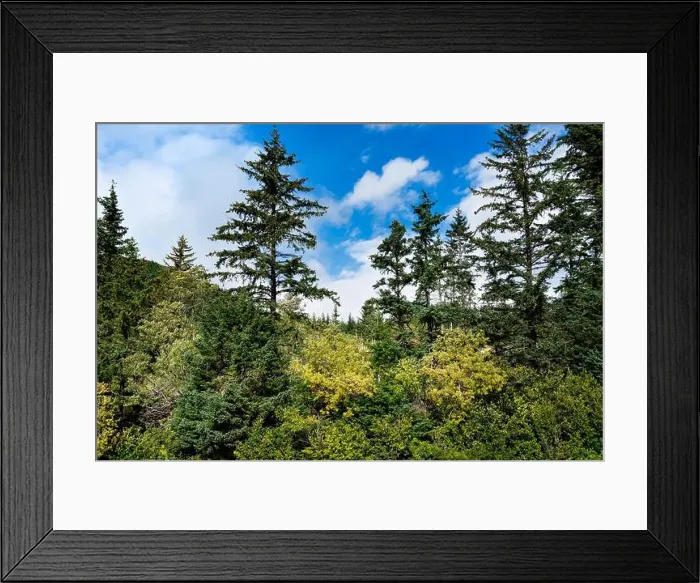 Framed Print : 2yf6105 Framed Print : 2yf6105