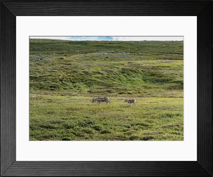 Framed Print : 2yf7d4w Framed Print : 2yf7d4w