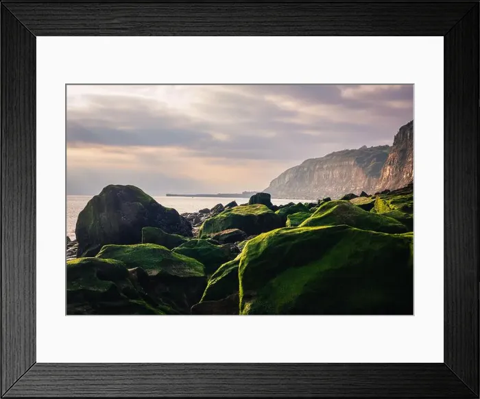 Framed Print : 2yf92x4 Framed Print : 2yf92x4