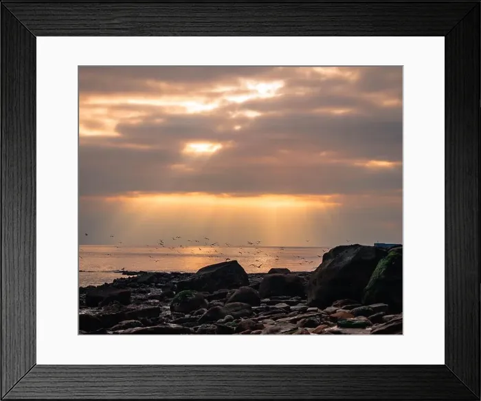 Framed Print : 2yf92y3 Framed Print : 2yf92y3