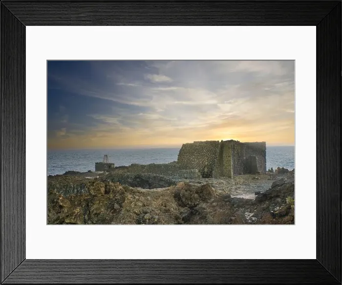 Framed Print : 2yfatfp Framed Print : 2yfatfp