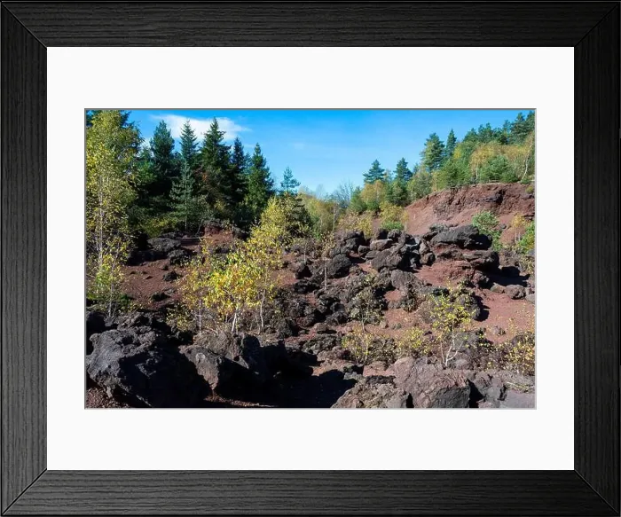 Framed Print : 2yfcapt Framed Print : 2yfcapt