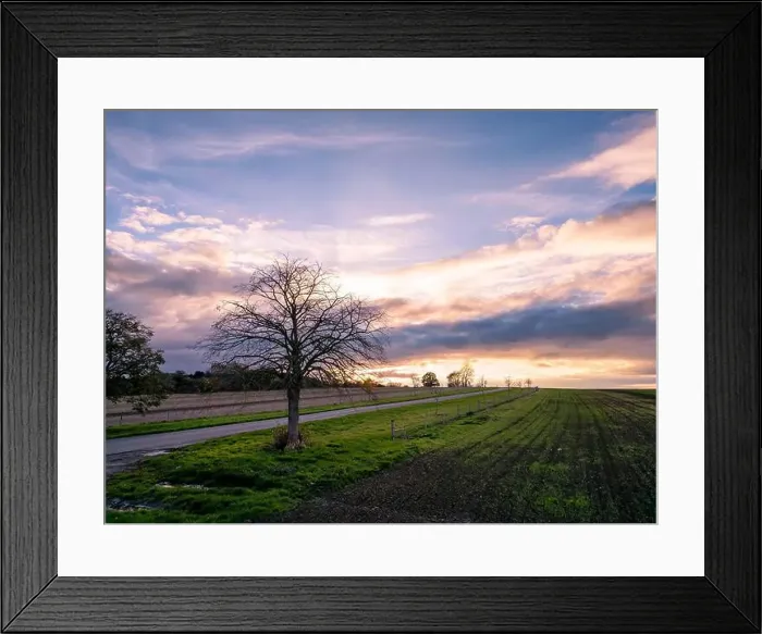 Framed Print : 2yfd292 Framed Print : 2yfd292