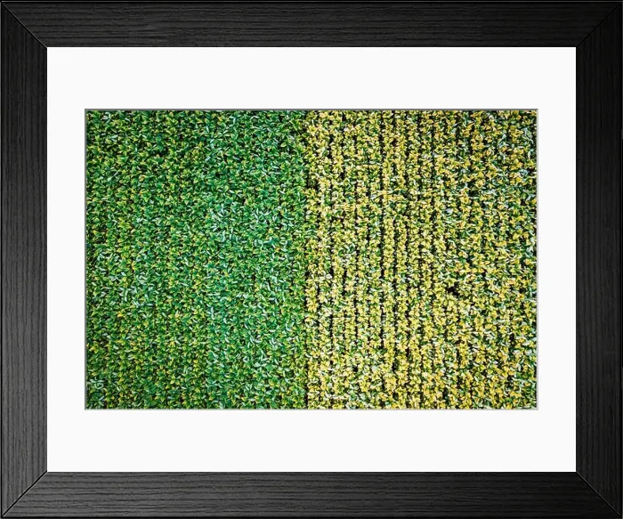 Framed Print : 2yffc3f