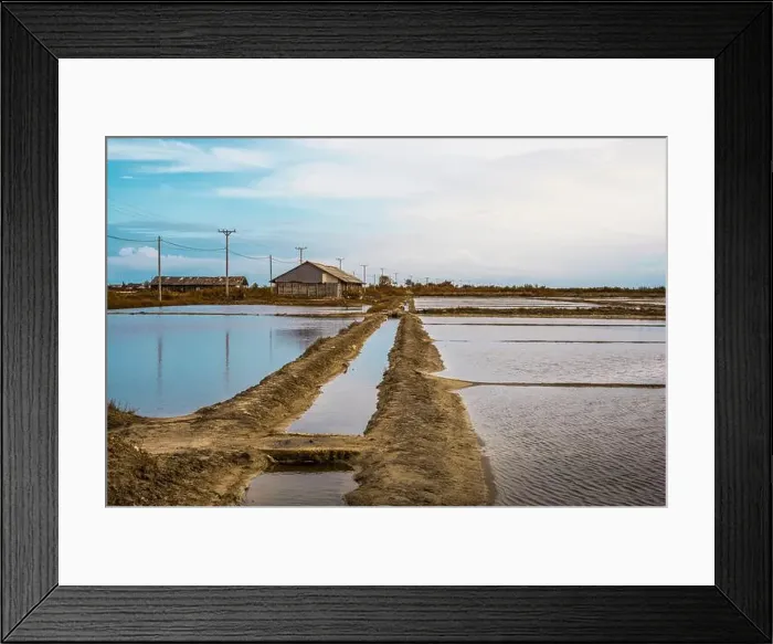 Framed Print : 2yfx9cx Framed Print : 2yfx9cx