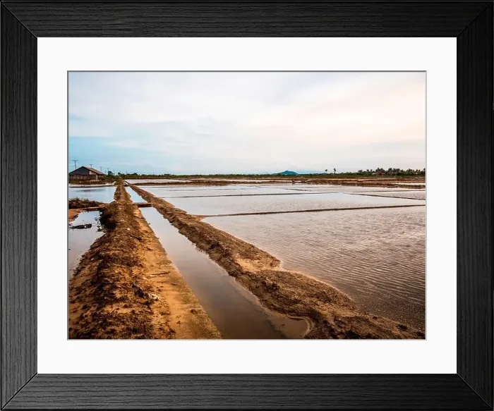 Framed Print : 2yfx9d6 Framed Print : 2yfx9d6