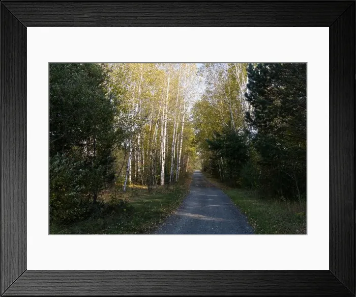 Framed Print : 2yg1d67 Framed Print : 2yg1d67