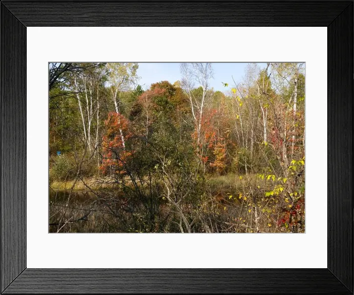 Framed Print : 2yg1d9m Framed Print : 2yg1d9m