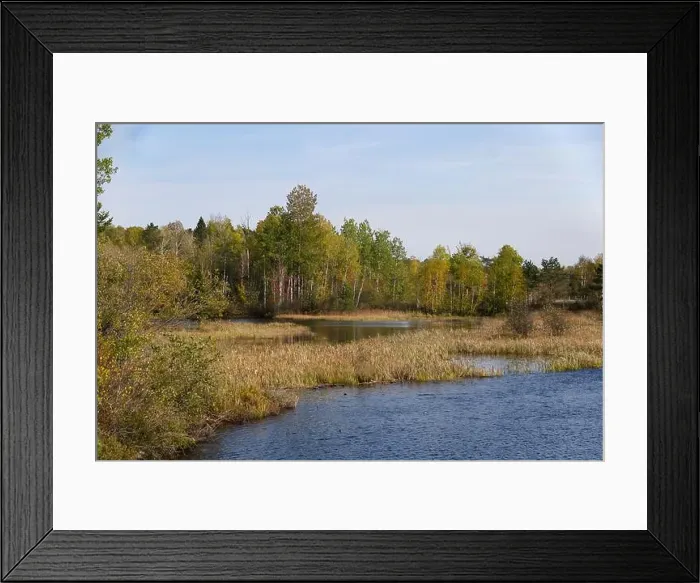 Framed Print : 2yg1d9x Framed Print : 2yg1d9x
