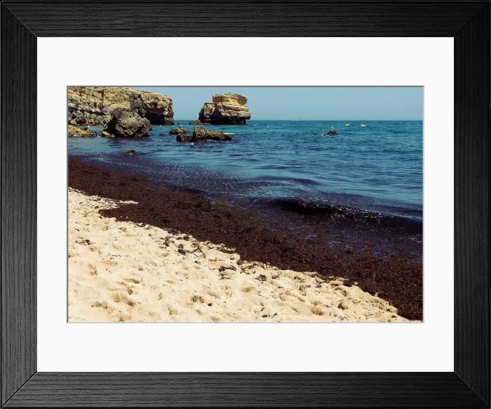 Framed Print : 2yg34nm Framed Print : 2yg34nm