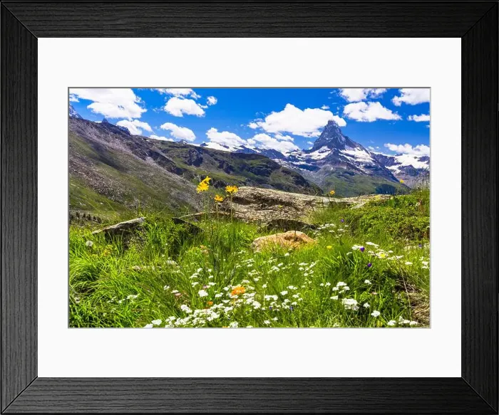 Framed Print : 2yg84pw Framed Print : 2yg84pw