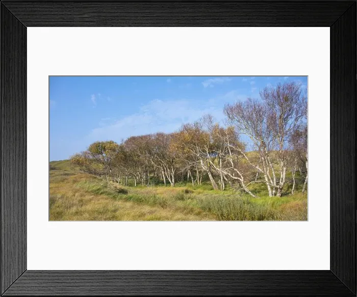 Framed Print : 2yg8hw2 Framed Print : 2yg8hw2