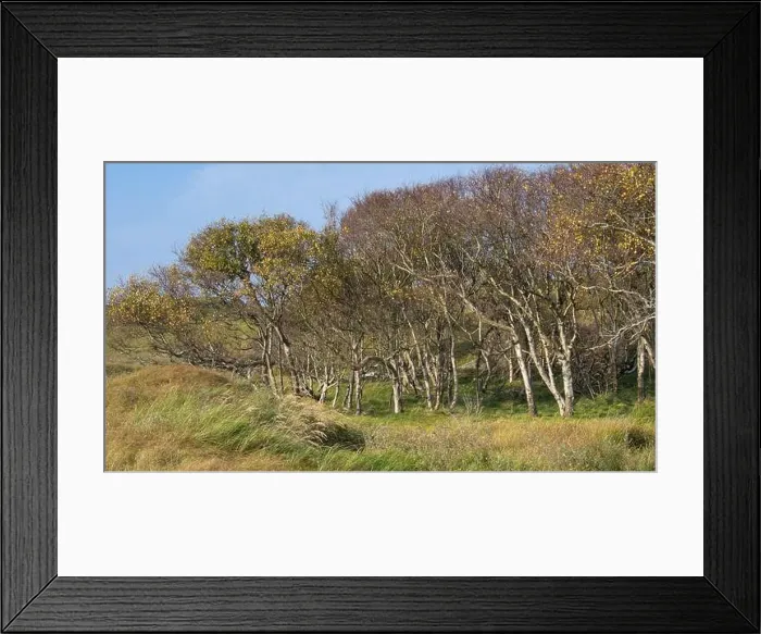 Framed Print : 2yg8hw6 Framed Print : 2yg8hw6