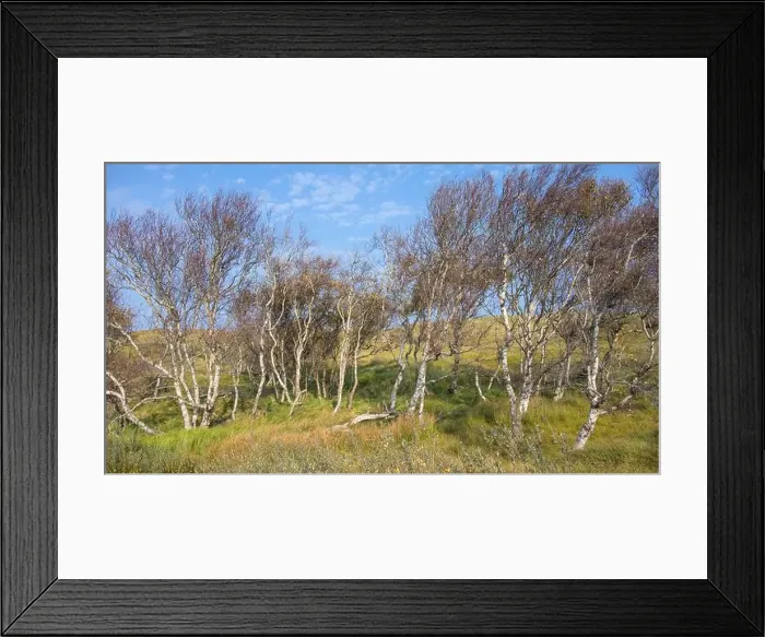 Framed Print : 2yg8j1r Framed Print : 2yg8j1r