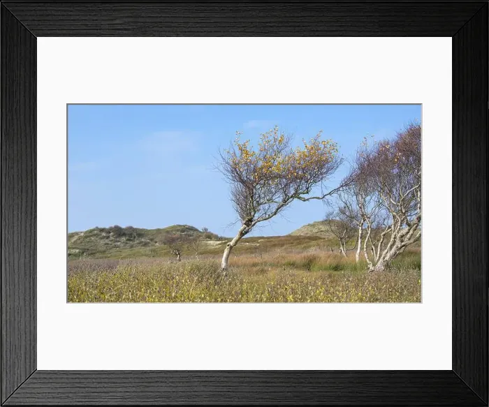 Framed Print : 2yg8j1y Framed Print : 2yg8j1y