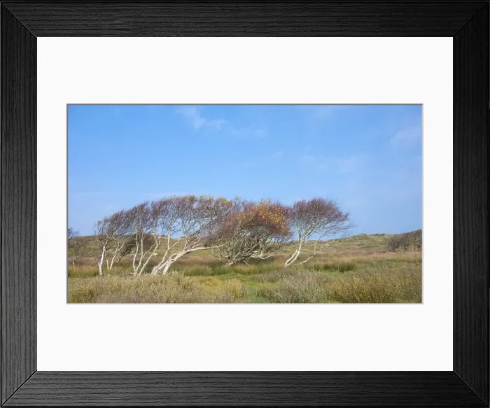 Framed Print : 2yg8j20 Framed Print : 2yg8j20