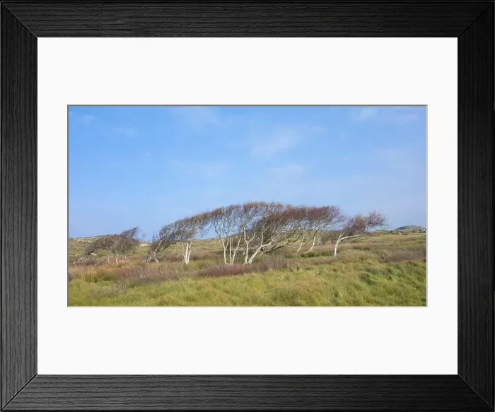 Framed Print : 2yg8j25 Framed Print : 2yg8j25