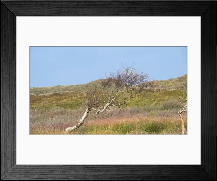 Framed Print : 2yg8j2b Framed Print : 2yg8j2b