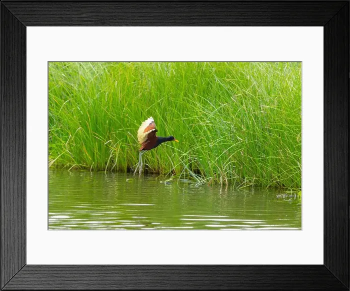 Framed Print : 2yg8nd8 Framed Print : 2yg8nd8