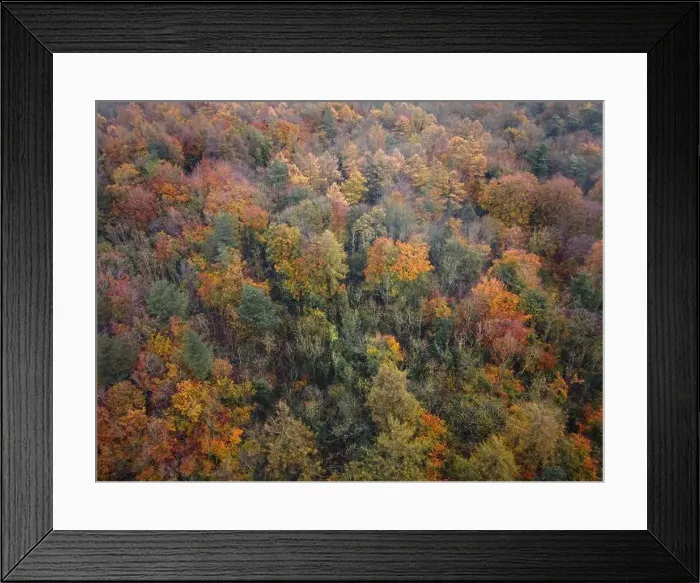 Framed Print : 2ygeegg Framed Print : 2ygeegg