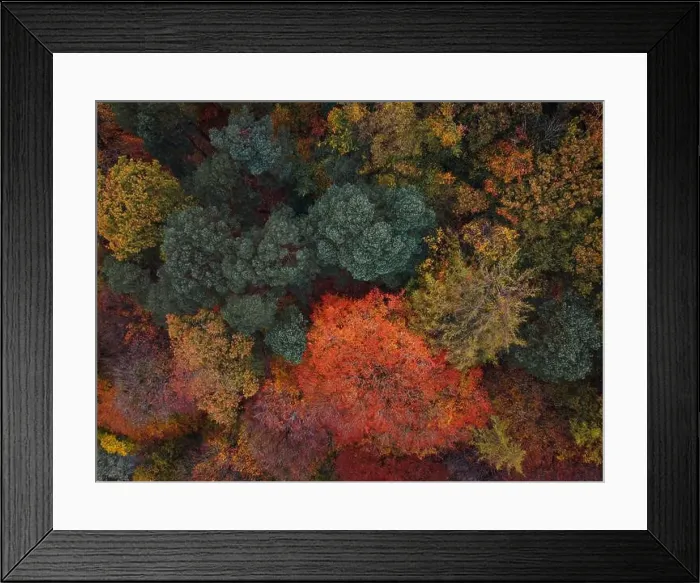 Framed Print : 2ygeegn Framed Print : 2ygeegn