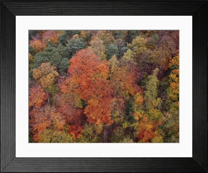 Framed Print : 2ygeegx Framed Print : 2ygeegx