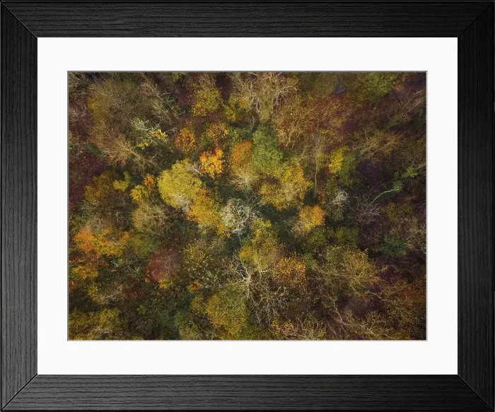 Framed Print : 2ygeeh3 Framed Print : 2ygeeh3