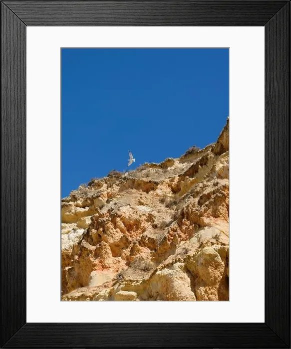 Framed Print : 2ygf7xr Framed Print : 2ygf7xr