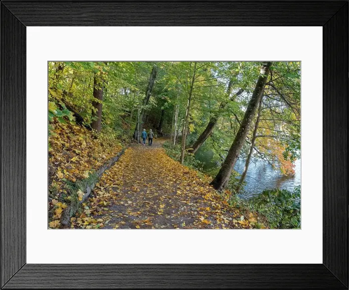 Framed Print : 2ygg90p Framed Print : 2ygg90p