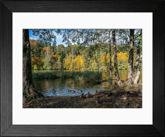 Framed Print : 2ygg90t Framed Print : 2ygg90t