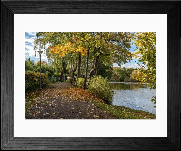 Framed Print : 2ygg97f Framed Print : 2ygg97f