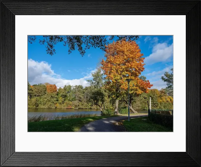 Framed Print : 2ygg9a2 Framed Print : 2ygg9a2