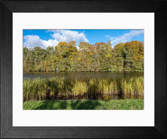 Framed Print : 2ygg9a9 Framed Print : 2ygg9a9