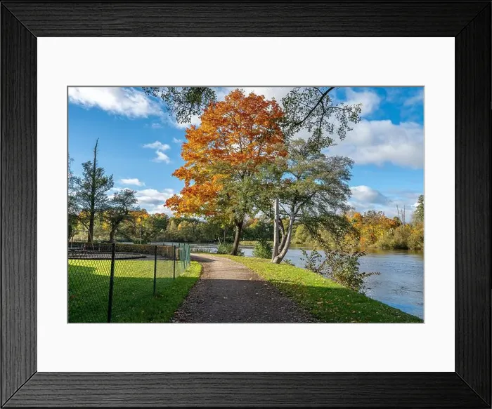 Framed Print : 2ygg9ap Framed Print : 2ygg9ap