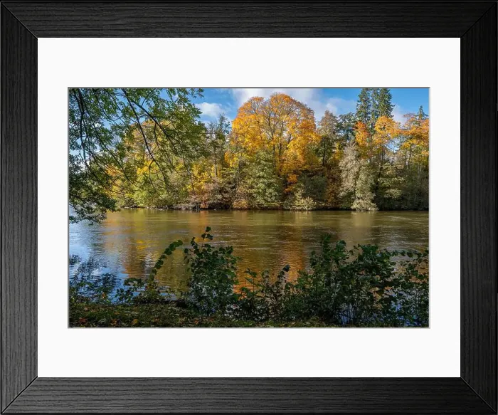 Framed Print : 2ygg9f8 Framed Print : 2ygg9f8
