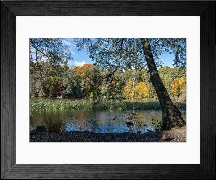 Framed Print : 2ygg9j9