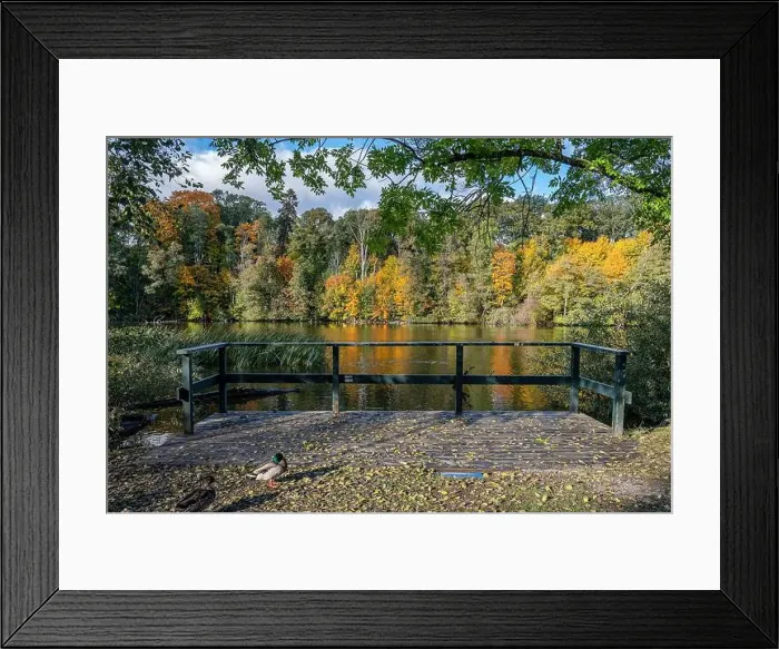 Framed Print : 2ygg9r4 Framed Print : 2ygg9r4