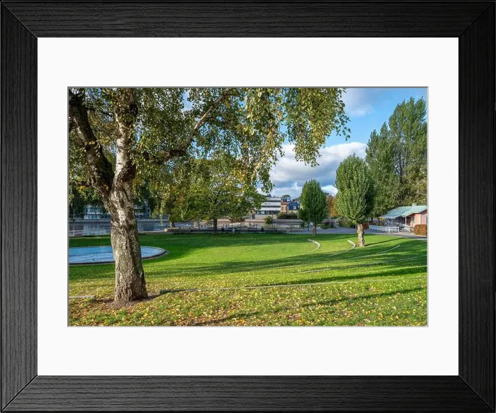 Framed Print : 2ygg9xy Framed Print : 2ygg9xy